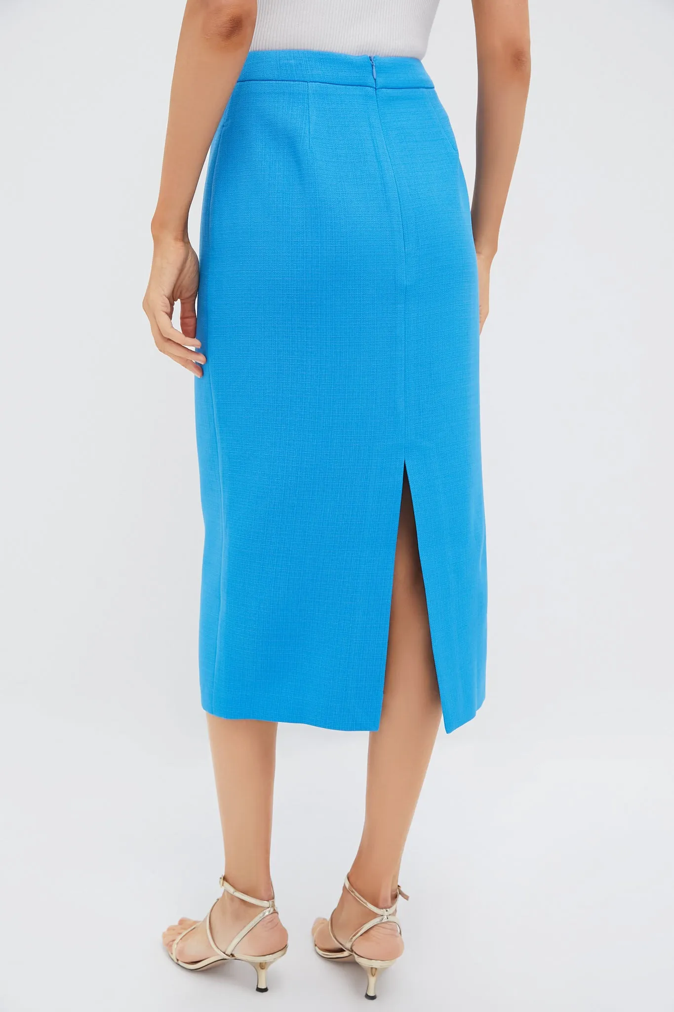 Azure Christopher Midi Skirt