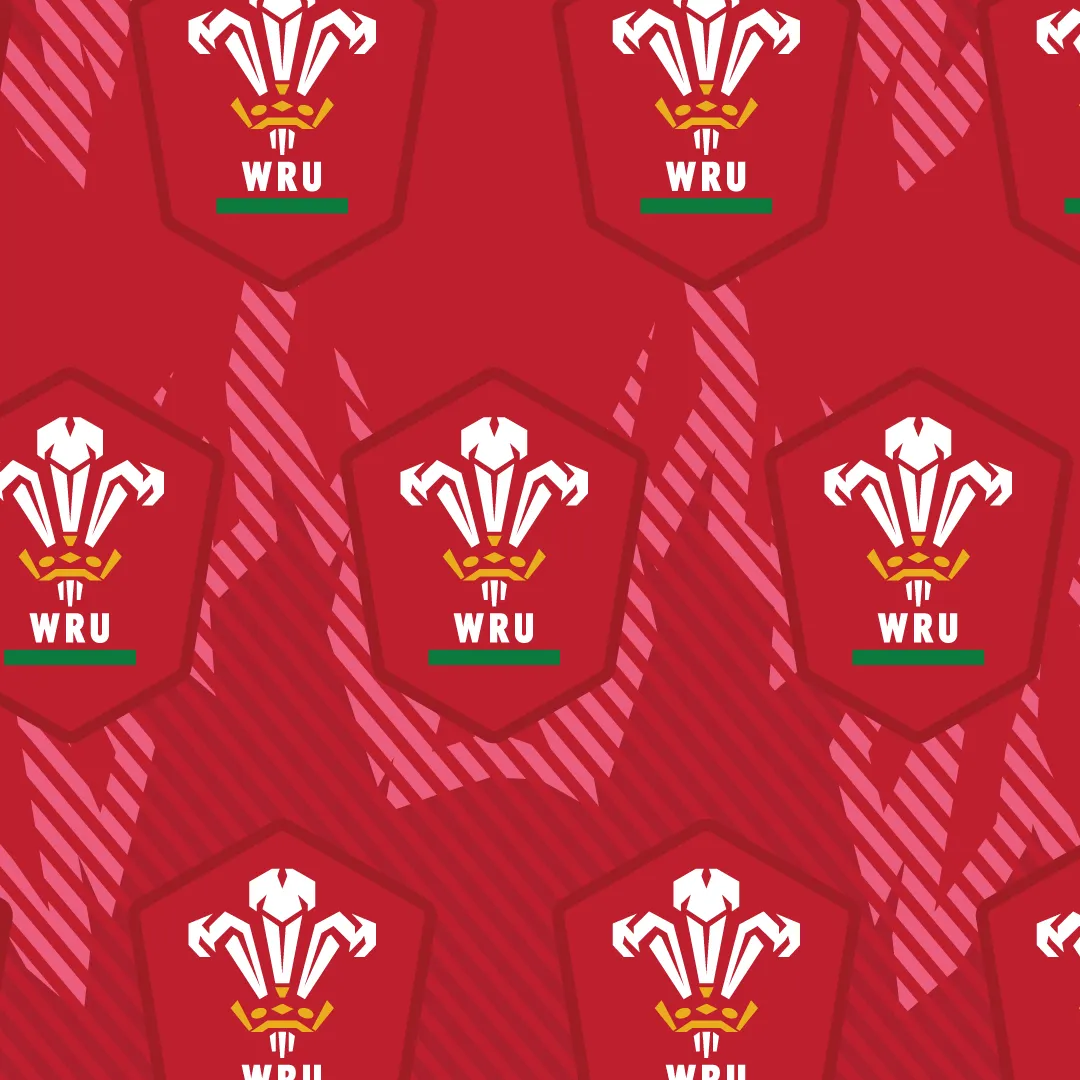 Mens Long Pyjamas - Welsh Rugby Union Flames - Trousers & T-Shirt